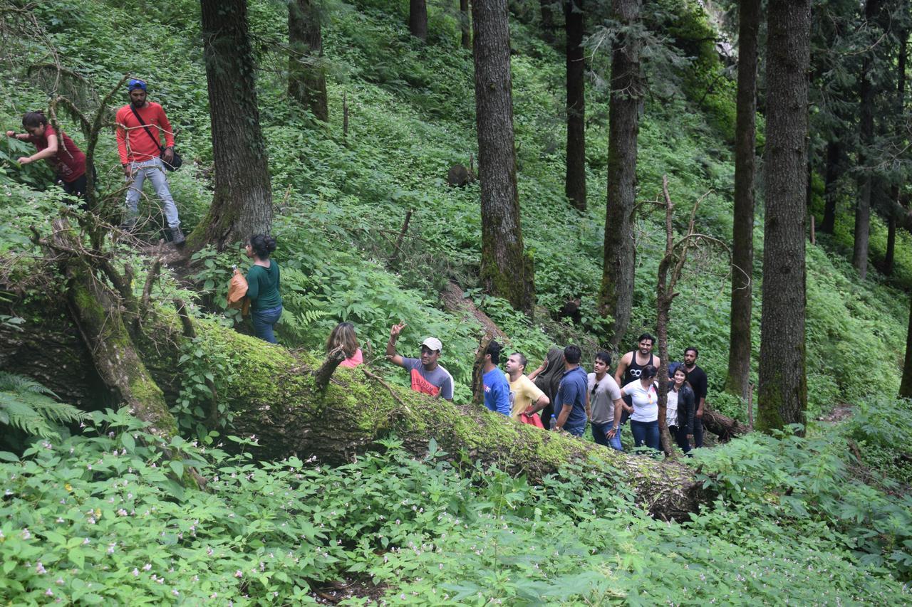 Ghughuti Resort Mussoorie Esterno foto
